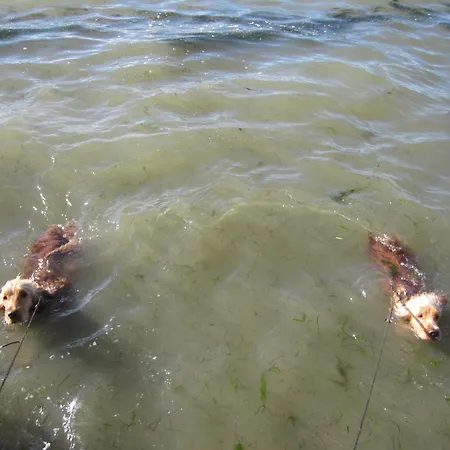 فندق Mer,,a 1mn ! رونس لو بين