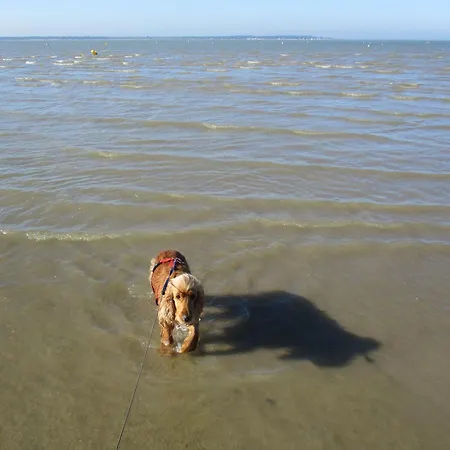 Mer,,a 1mn ! فندق رونس لو بين