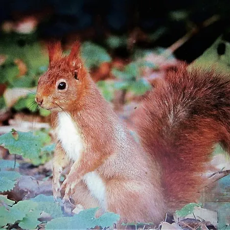 Mer,,a 1mn ! * رونس لو بين