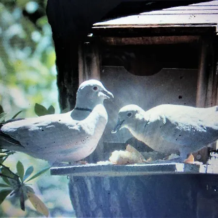 Mer,,a 1mn ! * رونس لو بين